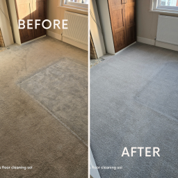 A side-by-side comparison of a carpet before and after cleaning, showcasing the significant difference in cleanliness and appearance.